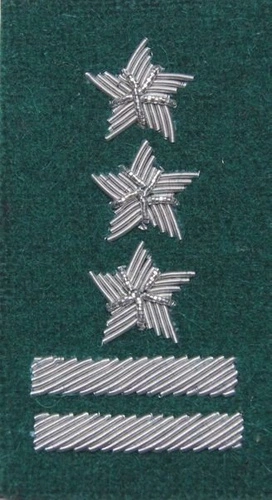 Stopień na beret WP (zielony / b) - pułkownik
