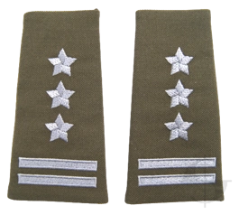 Pagony (pochewki) wyjściowe Wojsk Lądowych - pułkownik