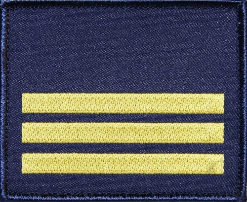 Plakietka na pierś - kadet III klasy wojskowej