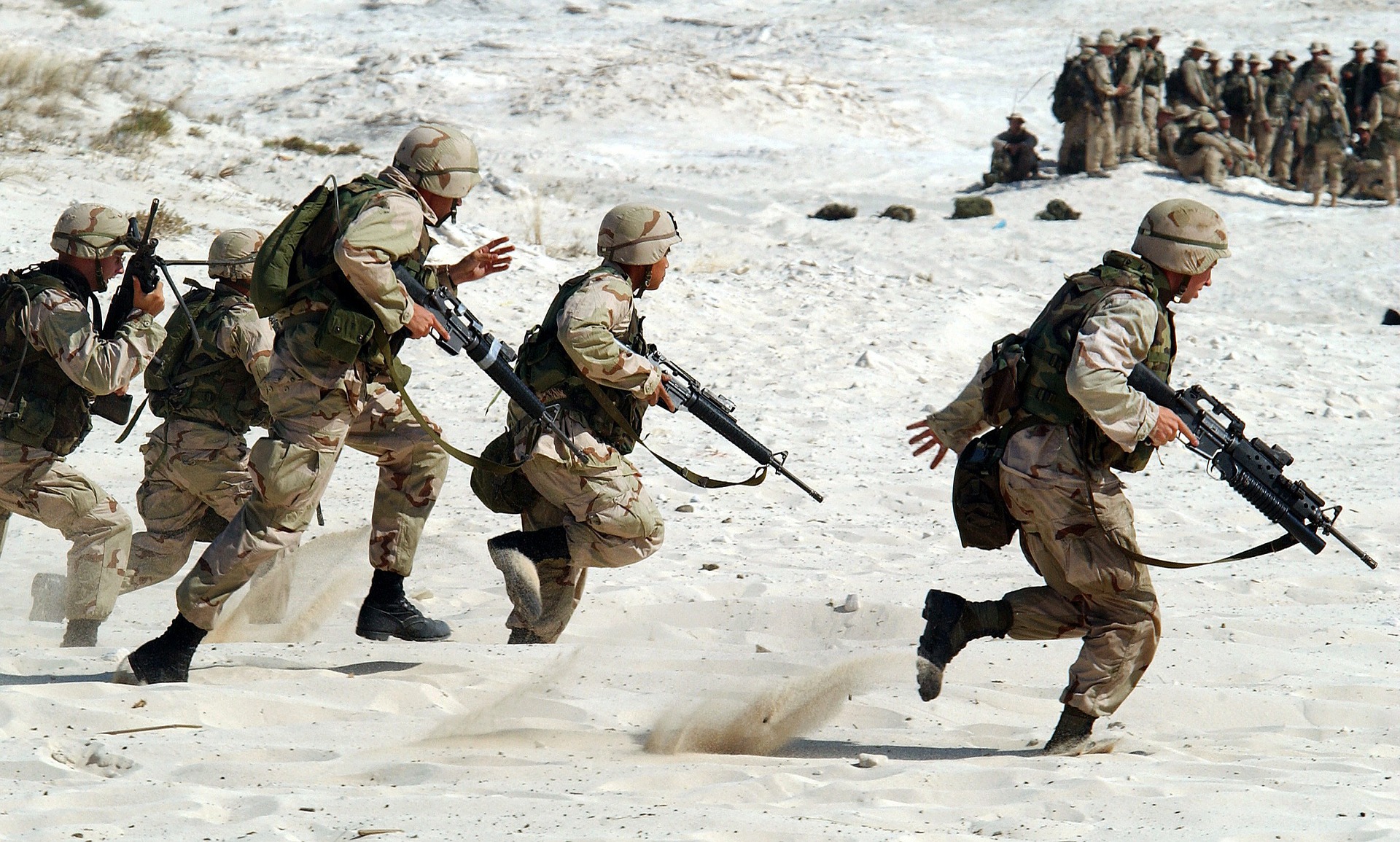 All-purpose Lightweight Individual Carrying Equipment