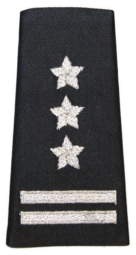 Pochewka na mundur wyjściowy 11 Lubuskiej Dywizji Kawalerii Pancernej - pułkownik