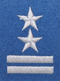 Stopień Wojska Polskiego do beretu niebieskiego - podpułkownik