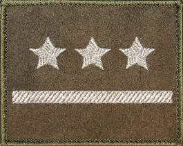 Dystynkcja na kurtkę khaki - porucznik