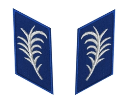 Znak korpusu Policji, korpusówki podoficerskie