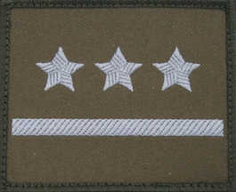 Dystynkcja na kurtkę wyjściową Wojsk Lądowych - porucznik