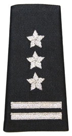 Pochewka na mundur wyjściowy 11 Lubuskiej Dywizji Kawalerii Pancernej - pułkownik