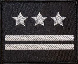 Dystynkcja na kurtkę wyjściową Sił Powietrznych - pułkownik