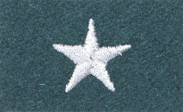 Stopień Wojska Polskiego do beretu zielonego - chorąży