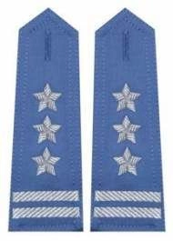 Pagony niebieskie do koszuli Służby Więziennej - pułkownik