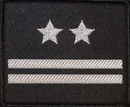 Dystynkcja na kurtkę wyjściową Sił Powietrznych - podpułkownik