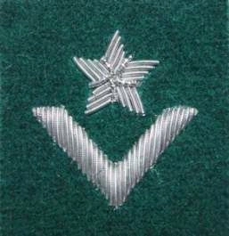 Stopień Wojska Polskiego haftowany bajorkiem do beretu zielonego - młodszy chorąży