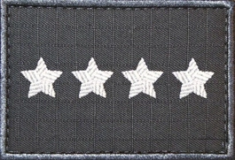 Dystynkcja specjalna SW - starszy chorąży sztabowy