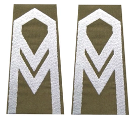 Pagony (pochewki) wyjściowe Wojsk Lądowych - starszy sierżant
