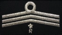 Dystynkcja do ubrania koszarowego OSP, Oddział Powiatowy - członek komisji rewizyjnej