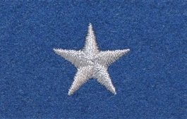 Stopień Wojska Polskiego do beretu niebieskiego - chorąży