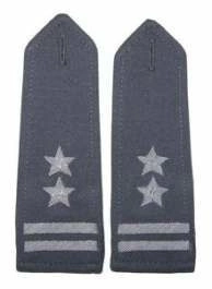 Pagony stalowe do koszulo-bluzy Wojska Polskiego - podpułkownik