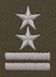 Stopień do furażerki galowej Wojsk Lądowych - podpułkownik