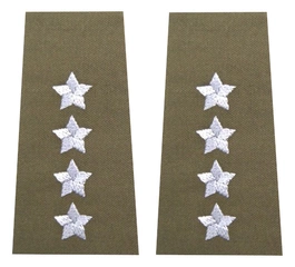 Pagony (pochewki) wyjściowe Wojsk Lądowych - kapitan