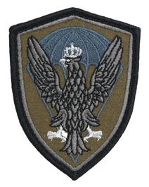 Emblemat Wojska Polskiego Desant - polowy