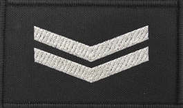 Dystynkcja czarna Policji, mała - starszy sierżant