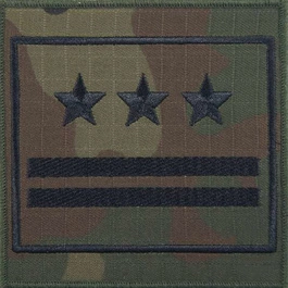 Dystynkcja wojskowa na ramię - pułkownik