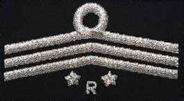 Dystynkcja do ubrania koszarowego OSP, Oddział Powiatowy - wiceprzewodniczący komisji rewizyjnej