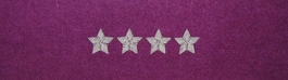 Otok fioletowy do rogatywki Wojska Polskiego - starszy chorąży sztabowy, kapitan