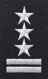 Stopień Wojska Polskiego do beretu czarnego - pułkownik