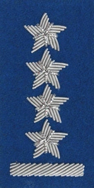 Stopień na beret WP (niebieski / b) - kapitan