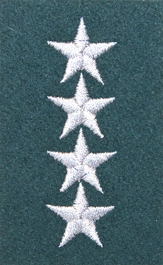 Stopień Wojska Polskiego do beretu zielonego - starszy chorąży sztabowy