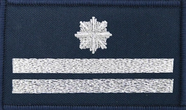 Dystynkcja granatowa Policji, mała - podinspektor