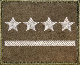 Dystynkcja na kurtkę khaki - kapitan