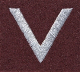 Stopień Wojska Polskiego do beretu bordowego - sierżant