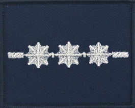 Dystynkcja na softshell Policji - starszy aspirant