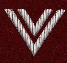 Stopień Wojska Polskiego haftowany bajorkiem do beretu bordowego - starszy sierżant