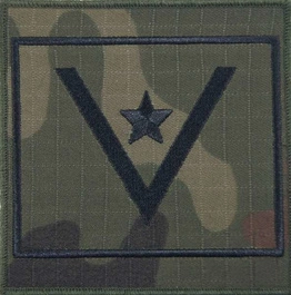 Dystynkcja wojskowa na ramię - młodszy chorąży