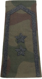 Pochewka na mundur polowy wzór 2010 - starszy chorąży