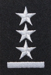 Stopień na beret WP (czarny / h) - porucznik
