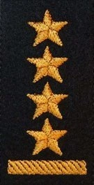 Dystynkcja na beret PSP - starszy kapitan