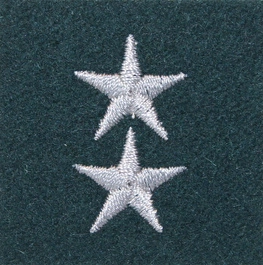 Stopień na beret WP (zielony / h) - starszy chorąży