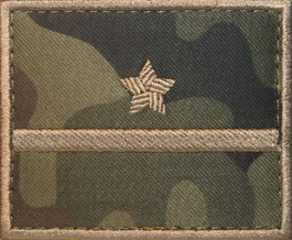 Dystynkcja polowa - podporucznik kawalerii ochotniczej