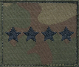 Dystynkcja na kurtkę polową Wojska Polskiego - starszy chorąży sztabowy