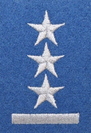 Stopień Wojska Polskiego do beretu niebieskiego - porucznik