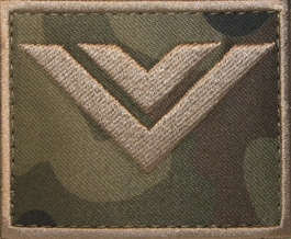 Dystynkcja polowa - starszy wachmistrz kawalerii ochotniczej