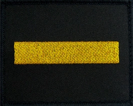 Dystynkcja Marynarki Wojennej - starszy marynarz specjalista - ubiór ćwiczebny