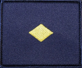 Plakietka na pierś - instruktor/nauczyciel klasy wojskowej