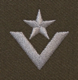 Stopień do furażerki galowej Wojsk Lądowych - młodszy chorąży