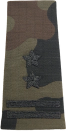 Pochewka na mundur polowy wzór 2010 - podpułkownik