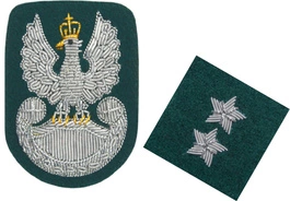 ZESTAW: orzełek i stopień (haftowane bajorkiem) do beretu zielonego Wojska Polskiego