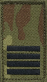 Stopień na koszulkę typu t-shirt Straży Granicznej - plutonowy